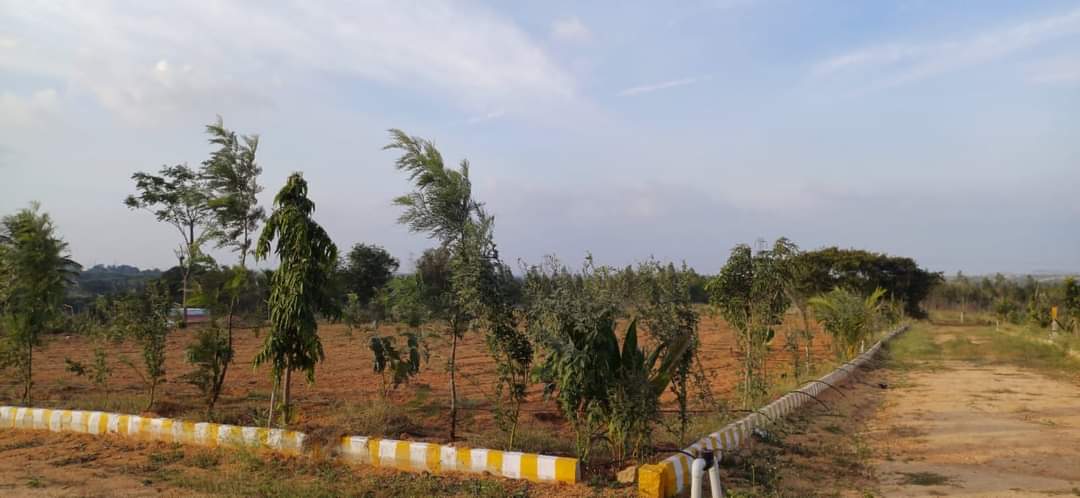 Suprabhat Farms